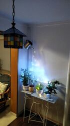 Blk 665 Choa Chu Kang Crescent (Choa Chu Kang), HDB 5 Rooms #472295541